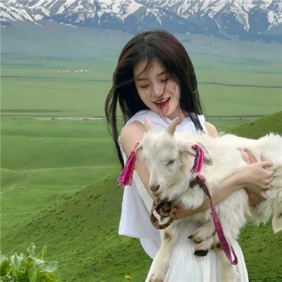人狼游戏：疯狂的狐狸